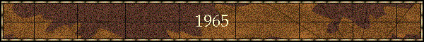 1965