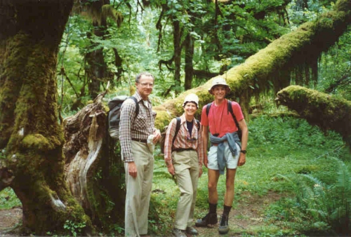 mosswalk.jpg (153685 bytes)